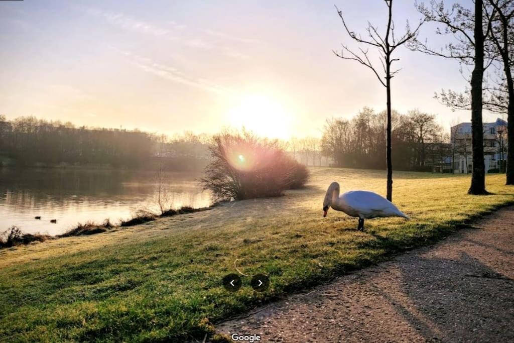 Sejour En Famille Ou Amis A Disneyland & Paris Lognes Eksteriør billede
